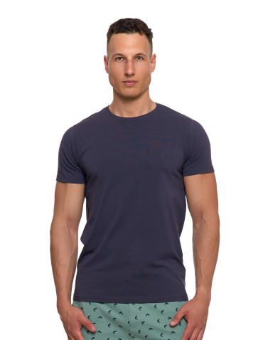 Koszulki, topy, koszule - Koszulka męska T-shirt bawełniana Premium okrągły dekolt NIEBIESKI - produkt 93
