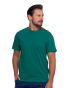 Koszulka męska bawełniana T-shirt ZIELONY