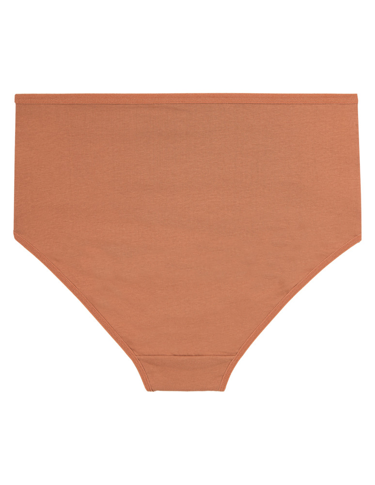 Majtki damskie - Majtki damskie figi maxi bikini z koronkowym akcentem 4-pak WIELOKOLOROWY  - produkt moraj.pl 2