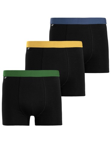 Bokserki dopasowane - Bokserki męskie bawełniane klasyczne z kolorowym pasem 6-pak WIELOKOLOROWY - produkt 4