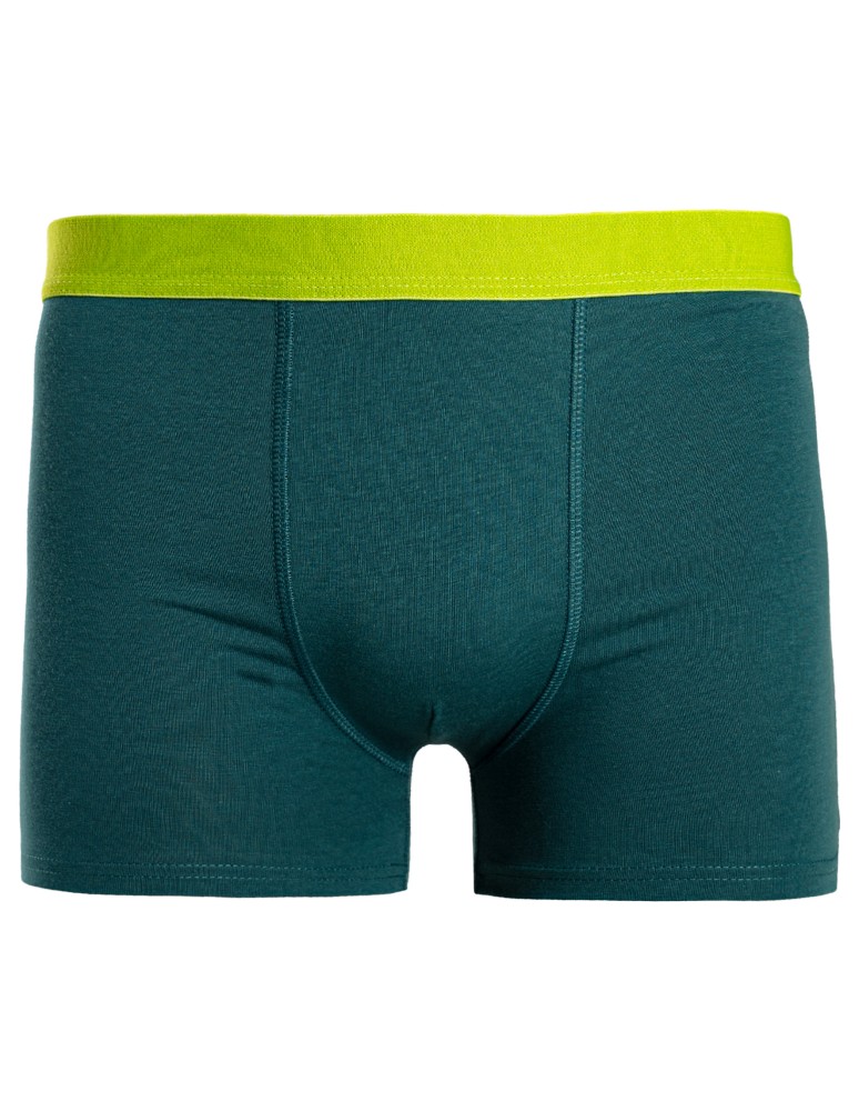 Bokserki - Bokserki chłopięce bawełniane kolorowe gładkie 6-pak WIELOKOLOROWY  - produkt moraj.pl 2