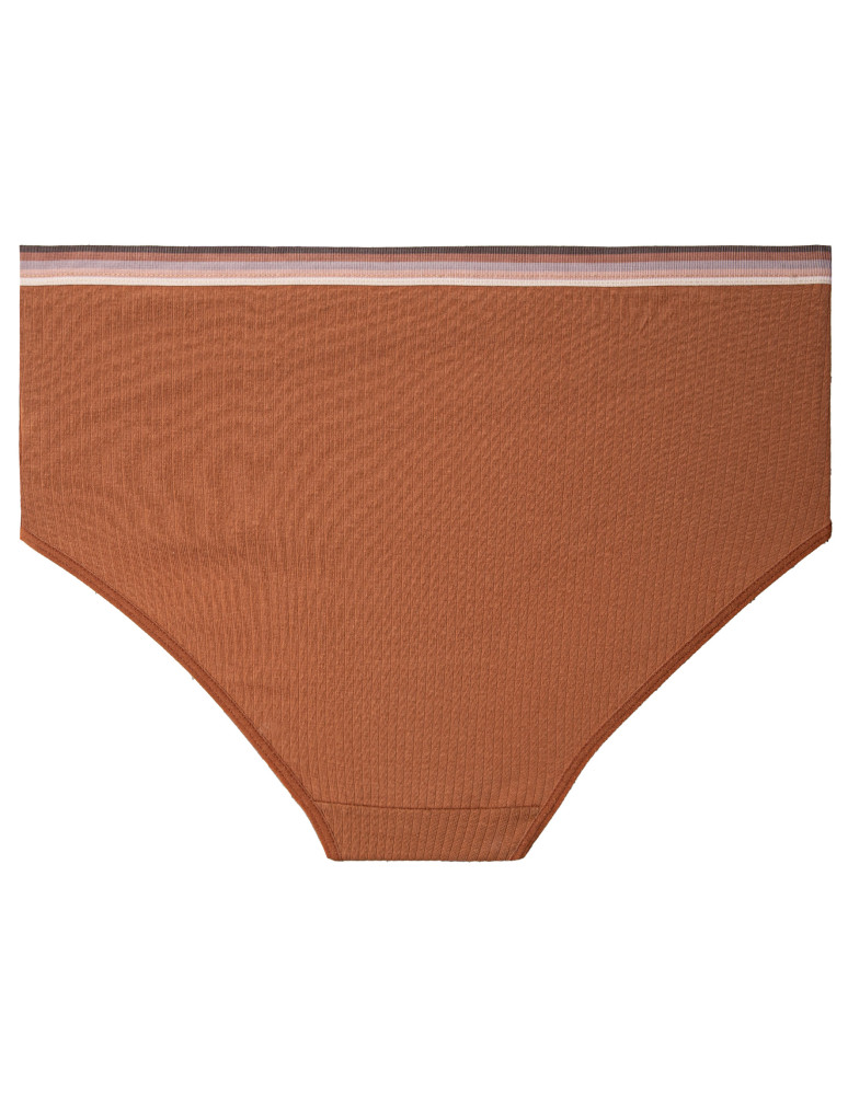 Majtki z wysokim stanem - Majtki damskie wygodne maxi bikini prążkowane bawełniane 3-pak WIELOKOLOROWY  - produkt moraj.pl 5