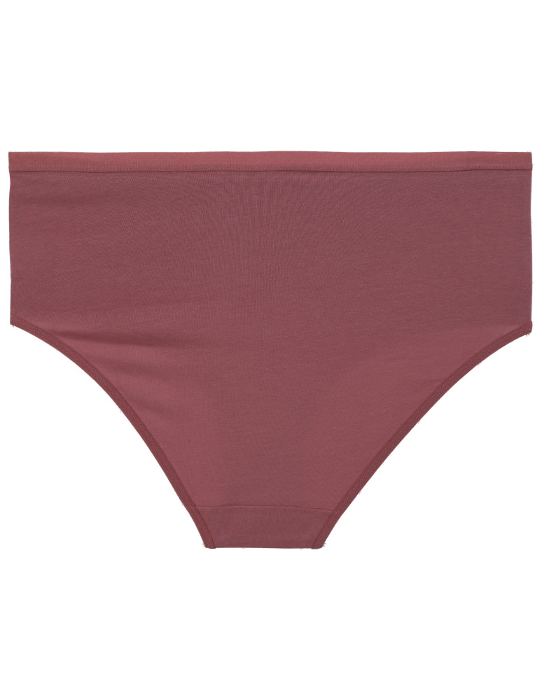 Nowości - Majtki damskie maxi bikini bawełniane z koronkową falbanką 4-pak WIELOKOLOROWY - produkt moraj.pl 4