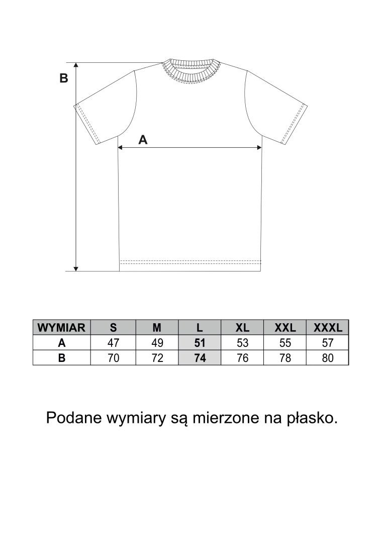 T-shirt męski tr&oacute;jmiasto