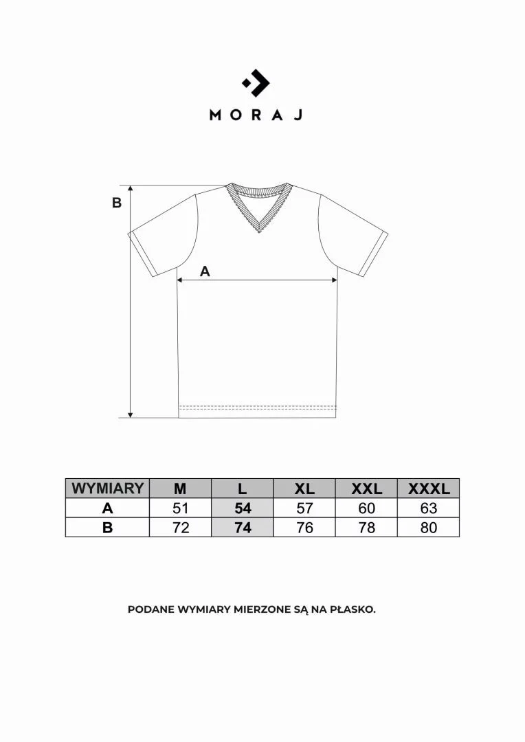 T-shirt męski bawełniany PREMIUM LINE dekolt w serek T-shirt męski bawełniany PREMIUM LINE dekolt w serek