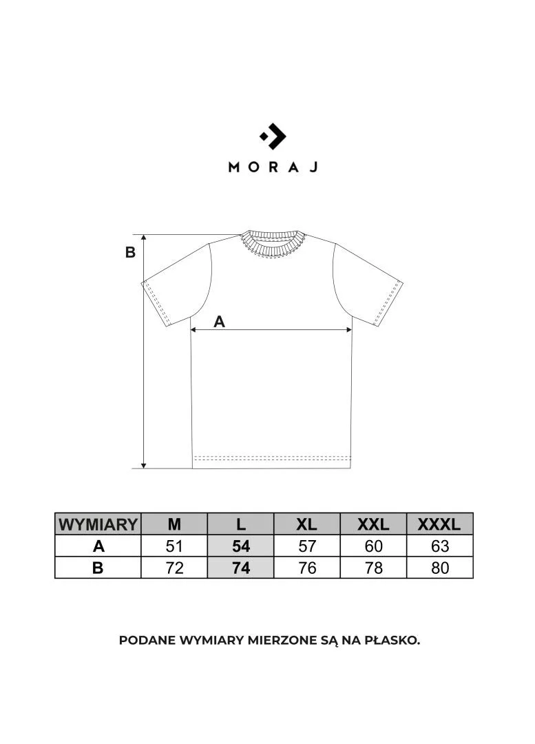Koszulka męska T-shirt bawełniany z nadrukiem Koszulka męska T-shirt bawełniany z nadrukiem