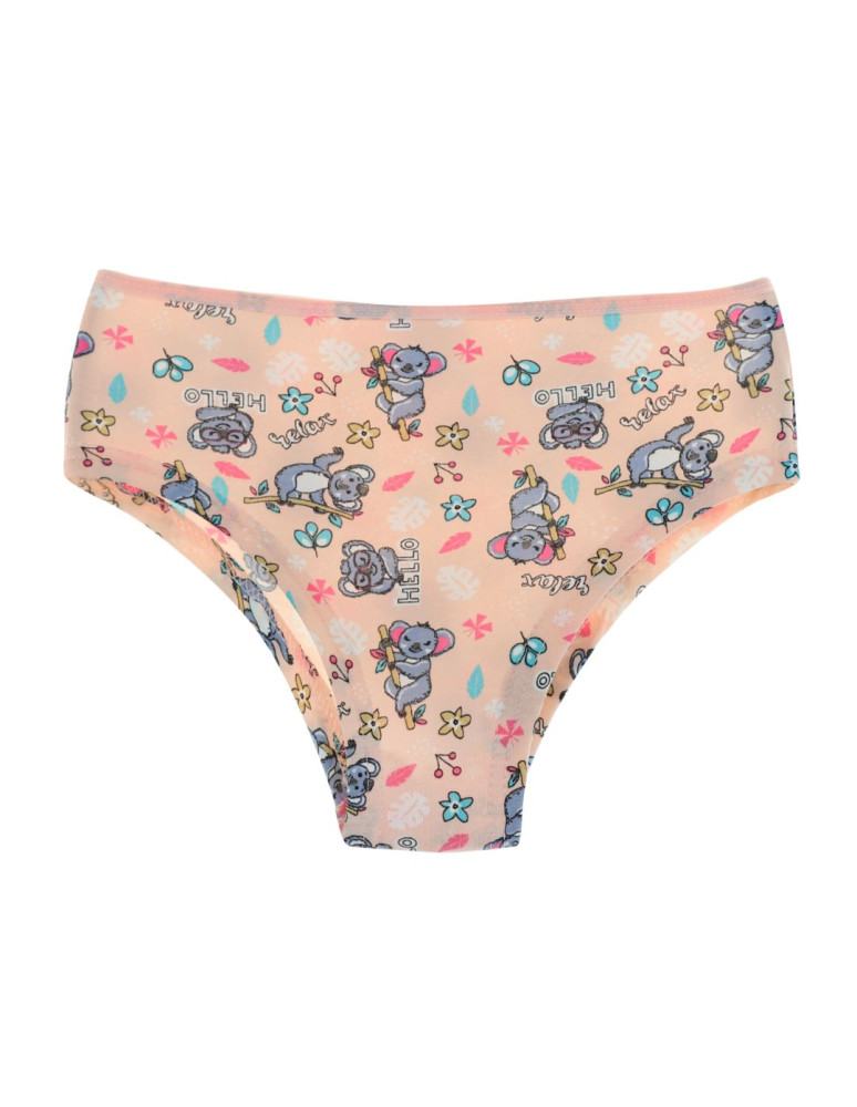 Figi - Hipstery dziewczęce w misie koala WIELOKOLOROWY - produkt moraj.pl 2