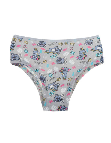 Figi - Hipstery dziewczęce w misie koala WIELOKOLOROWY - produkt 4