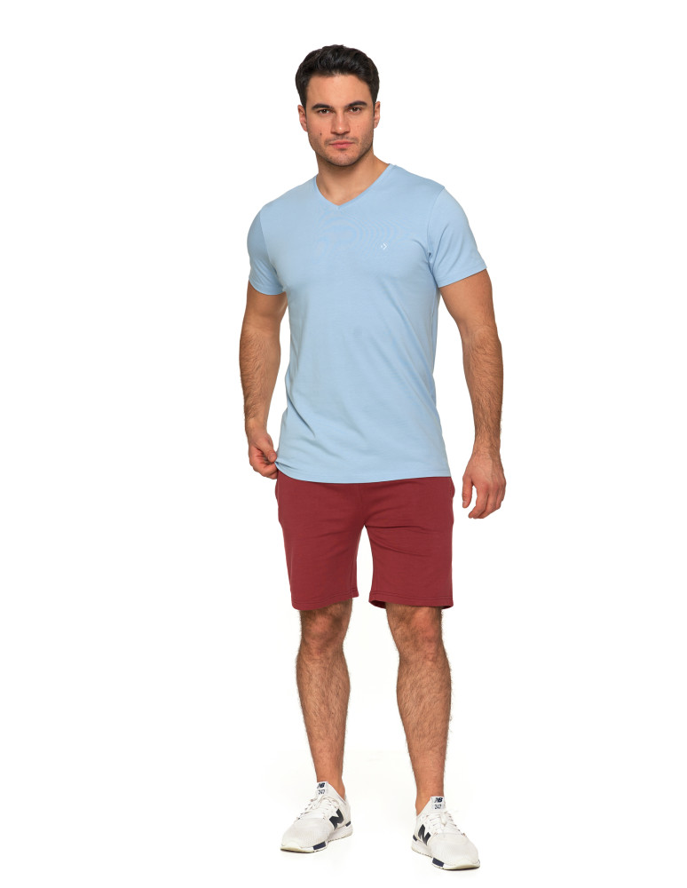 Koszulki, topy, koszule - Koszulka męska bawełna Premium T-shirt dekolt w serek JASNY NIEBIESKI - produkt moraj.pl 4