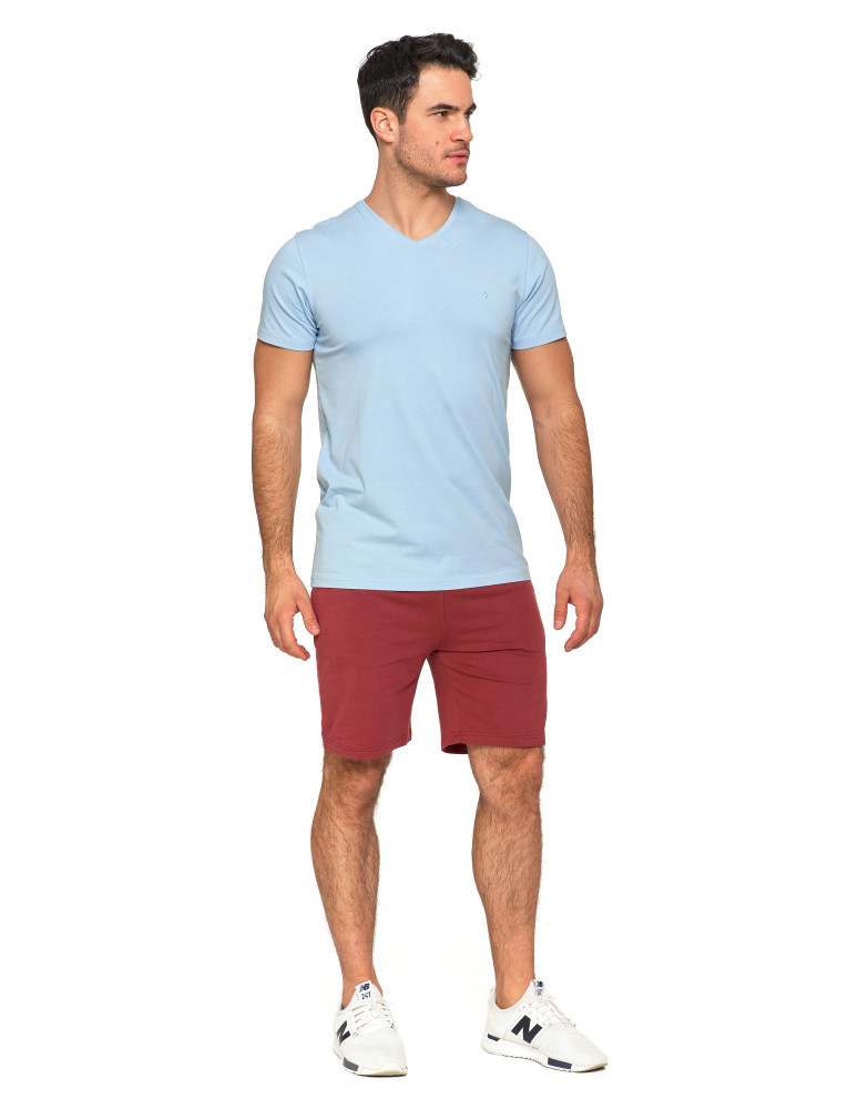 Koszulki, topy, koszule - Koszulka męska bawełna Premium T-shirt dekolt w serek JASNY NIEBIESKI - produkt moraj.pl 6