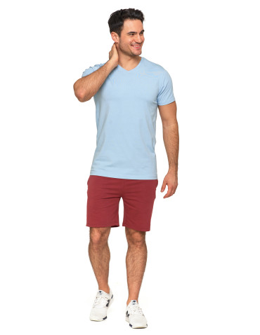 Koszulki, topy, koszule - Koszulka męska bawełna Premium T-shirt dekolt w serek JASNY NIEBIESKI - produkt 7