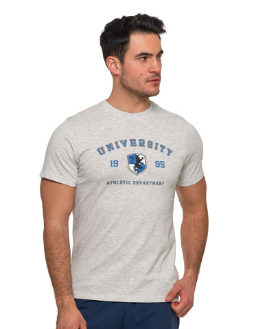 Koszulki, topy, koszule - Koszulka męska bawełniania t-shirt szary melanż SZARY - produkt 1