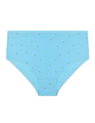 Majtki figi - Bawełniane majtki figi klasyczne plus size 4-pak WIELOKOLOROWY - produkt 5