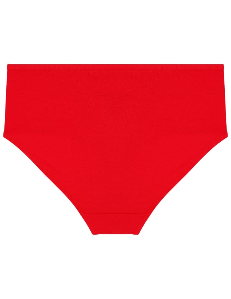 Majtki figi - Majtki figi damskie maxi bikini z siateczką i koronką 4-pak WIELOKOLOROWY  - produkt moraj.pl 3