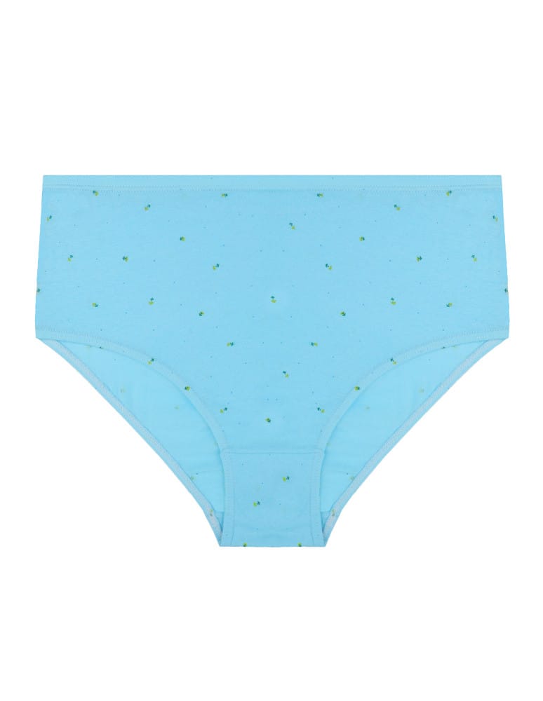 Majtki figi - Bawełniane majtki figi klasyczne plus size 4-pak WIELOKOLOROWY  - produkt moraj.pl 5