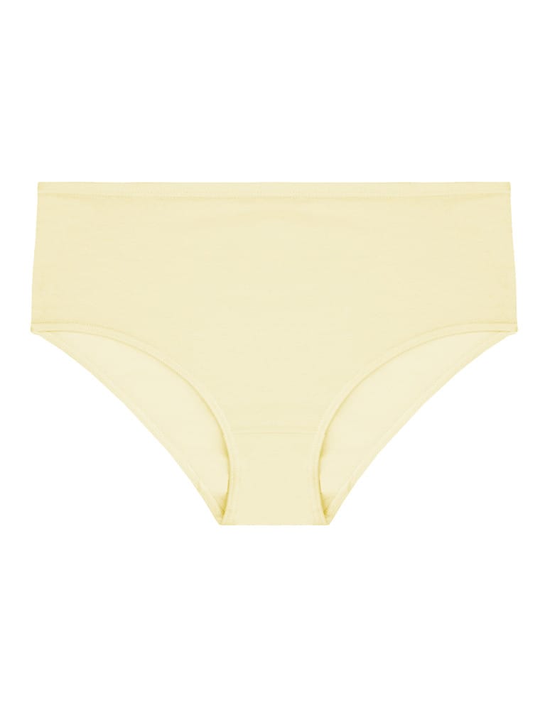 Majtki figi - Majtki klasyczne plus size bawełniane 4-pak WIELOKOLOROWY  - produkt moraj.pl 3