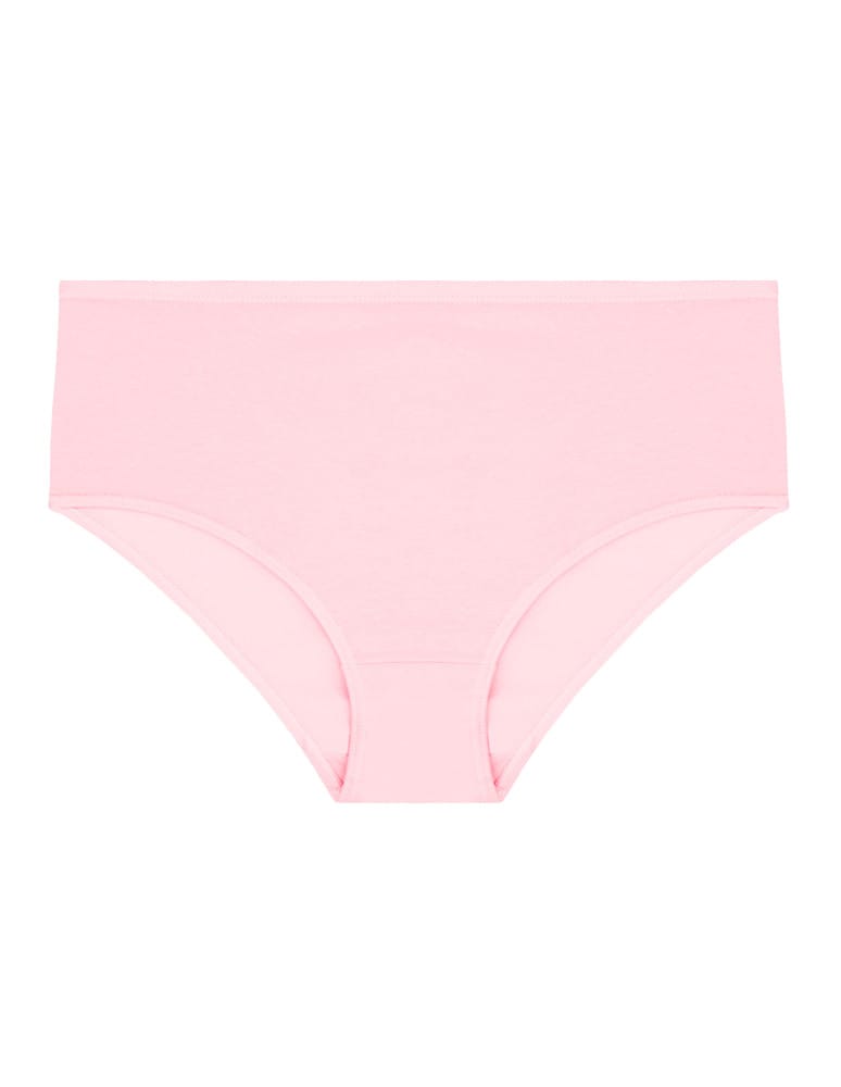 Majtki figi - Majtki klasyczne plus size bawełniane 4-pak WIELOKOLOROWY  - produkt moraj.pl 4