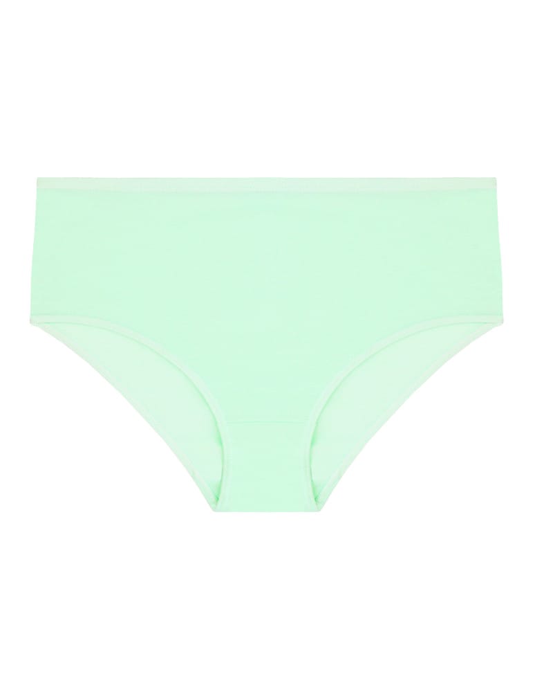 Majtki figi - Majtki damskie figi klasyczne plus size 4-pak WIELOKOLOROWY - produkt moraj.pl 3