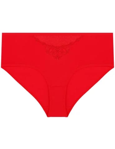 Majtki figi damskie maxi bikini z siateczką i koronką 4-pak - produkt 2