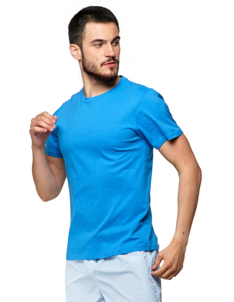 Koszulki i Tank Topy - Koszulka męska bawełniana T-shirt NIEBIESKI - produkt moraj.pl 1