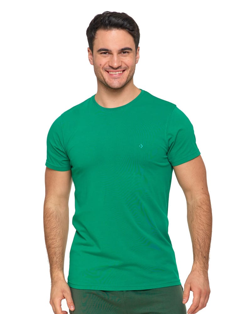 Koszulka męska T-shirt bawełniana Premium okrągły dekolt ZIELONY