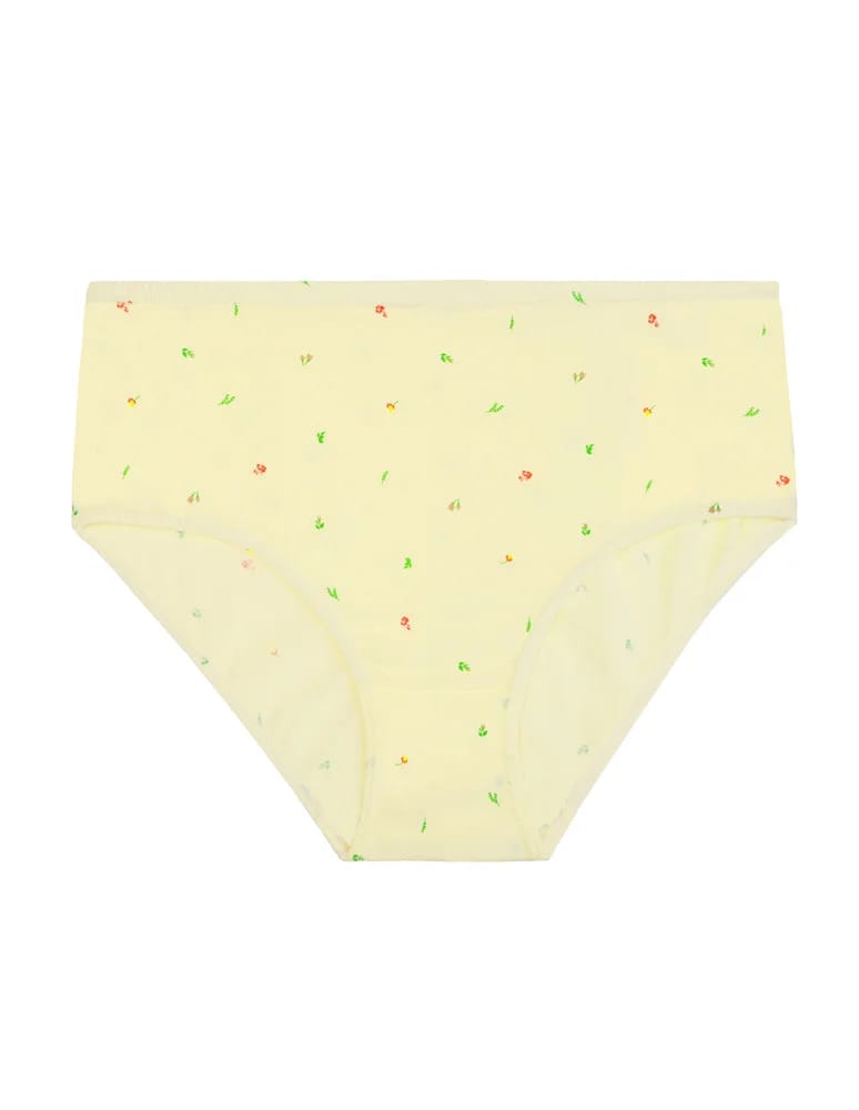 Majtki figi - Figi majtki bawełniane plus size klasyczne 4-pak WIELOKOLOROWY  - produkt moraj.pl 4