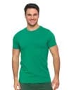 Koszulka męska T-shirt bawełniana Premium okrągły dekolt ZIELONY