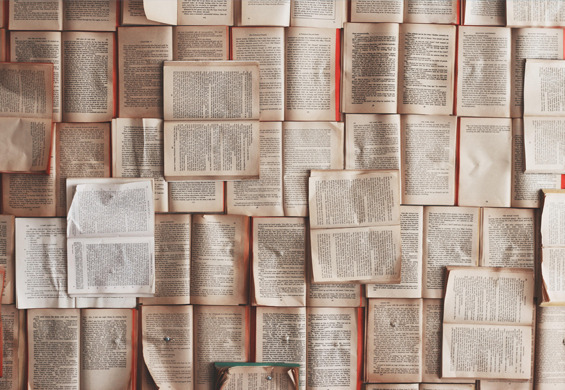 Blogowy start z przytupem! Blogowy start z przytupem!